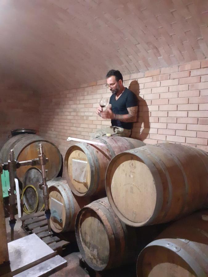 Oasi Di Mastarone - Il Vino E Le Rose Villa Momperone Екстериор снимка