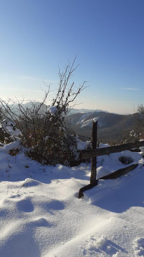 Oasi Di Mastarone - Il Vino E Le Rose Villa Momperone Екстериор снимка