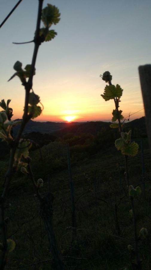 Oasi Di Mastarone - Il Vino E Le Rose Villa Momperone Екстериор снимка